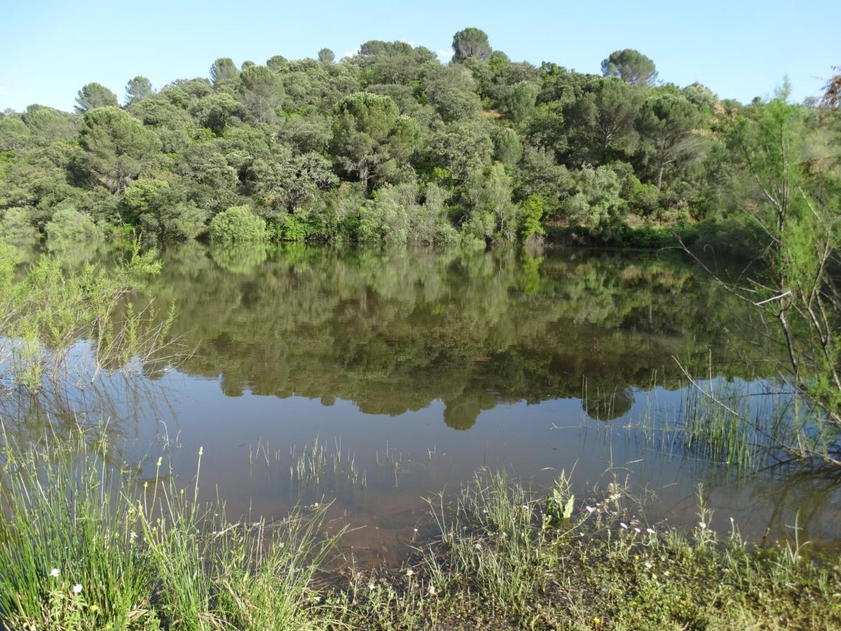 Cortijo La Priorita Villa - Cordoba — Photos 2